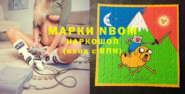 индика Абинск