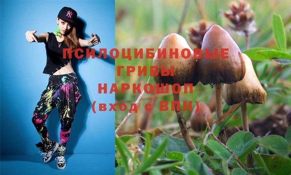 сатива Абдулино