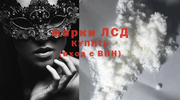 индика Абинск