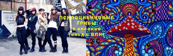 индика Абинск