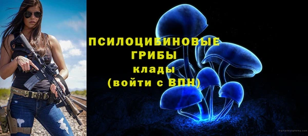 индика Абинск