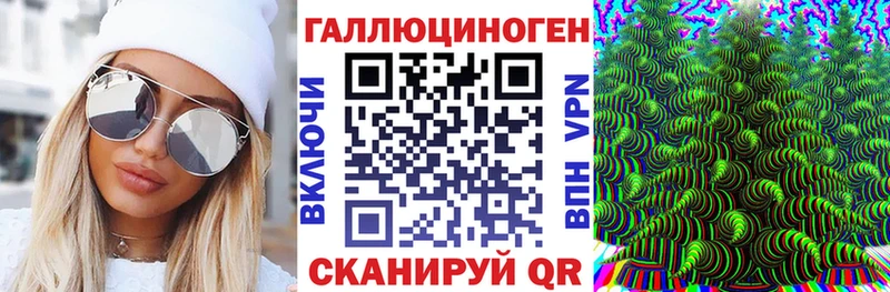 Галлюциногенные грибы Psilocybine cubensis Бобров